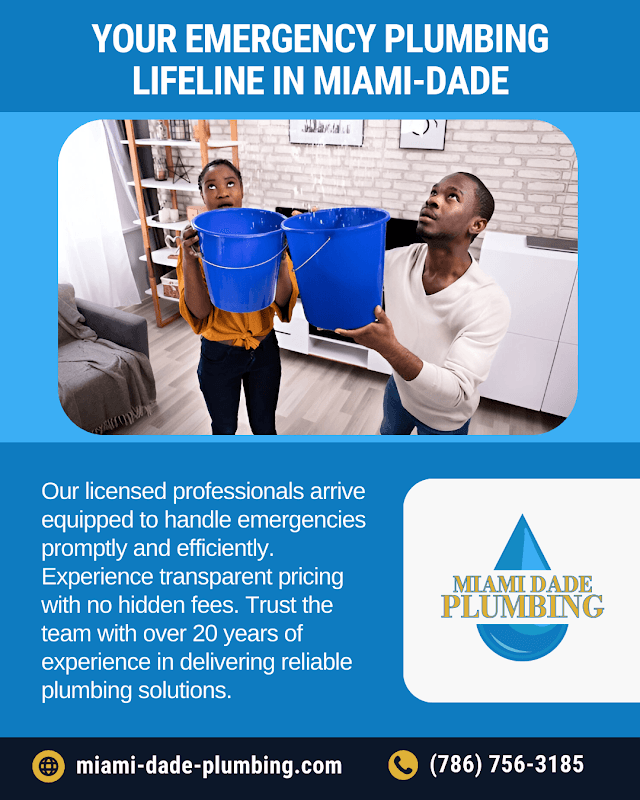 Miami Dade Plumbing logo
