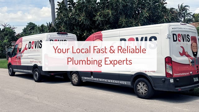 Dovis Plumbing logo